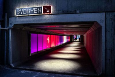 Farvepanelerne strækker sig over en længde på 63 meter. Foto: Tom Laursen