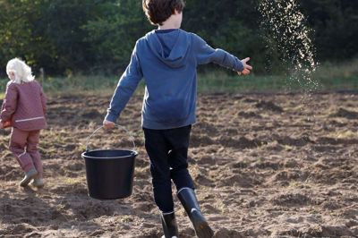 Snart begynder sidste års anstrengelser, hvor blandt andre børn fra Gudenåskolen spredte blomsterfrø, at pible op i jorden på Alling Naturpark, men allerede på søndag får flere folketingskandidater og vælgere mulighed for at vandre i det borgerdrevne projekt.