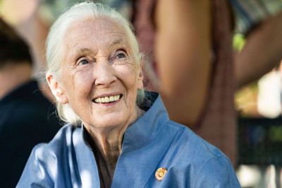Jane Goodall, som døde onsdag, er den første medvirkende i Netflix' "Famous Last Words". (Arkivfoto).