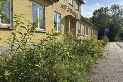 Der er ved at vokse en mindre urskov frem foran det gamle apotek. Stedet har ikke fået en kærlig hånd i mere end 10 år.