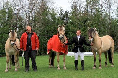 Picasa. Fra venstre: Stald Kiel\'s Lyst, Daniel Marck Østergaard - Karinas uundværlige groom, Bounty, Karina og Laustfinn Skellerød. Picasa