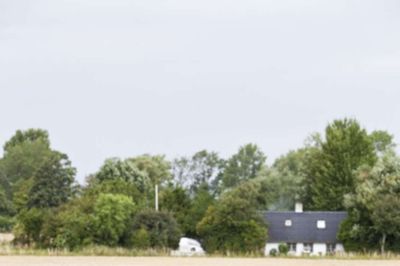 En brun hest blev søndag fundet død i Engesvang. Det er dog ikke hesten på dette billede. Foto: Modelfoto