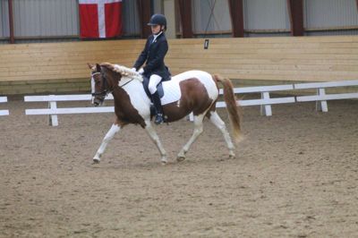 Vinder af klubmesterskab på privatpony: Laura Andreasen på Jasmin.
