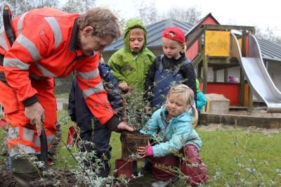 Der var masser af hjælp, da gartnere fra Ikast-Brande Entreprenørgårde skulle plante nye planter på Frisenborg Børnehaves legeplads