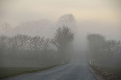 Foto: Colourbox