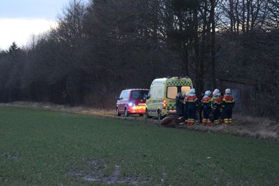 En usædvanlig situation, hvor en hest døde pludselig under rideturen. ?Foto: Steen Hebsgaard