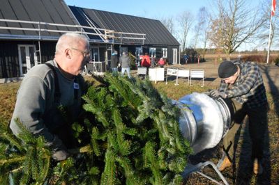 Juletræerne blev pænt pakket ind - så de kunne transporteres hjem.