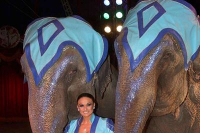Elefanterne er med i Cirkus Dannebrog. ?Pr-foto