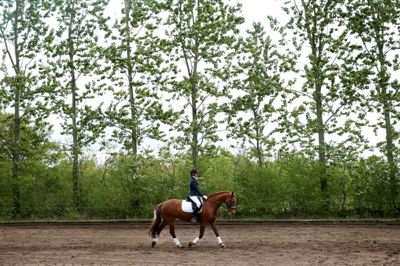 Højris Rideklub har 30 års jubilæum og fejrer det med stævne i Pinsen.
Foto: Flemming Hansen