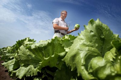 Stor salat-producent Månsson.
Stor salat-producent Månsson.
---- Axel Månsson
---- Grarupvej
---- Brande
---- salat
---- avler af salat