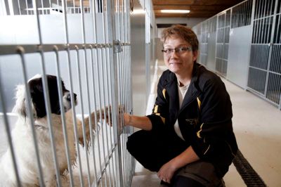 Det blev hanhunden Diesel, der fik æren af at være den første beboer i Camilla Røn Lauridsens nye hundepension. Diesel er resultatet af et møde mellem en golde retriever og en sanktbernhardshund for fem år siden. ?Foto: Flemming Hansen