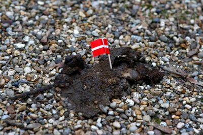 Bording IF er så trætte af friske hundelorte på boldbanerne, at de nu helt forbyder hundeluftning. Lorten på billedet er ikke årsagen til det nyelige forbud. ?Foto: Tony Brøchner