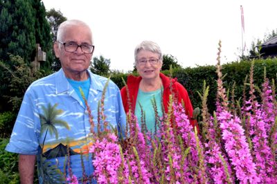 LLyod og Birgit Clemente i den blomstrende kolonihave som er en vigtig del af deres pensionistliv i Ikast. Foto Laila Kempel