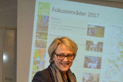 Turistchef Jette Nielsen drømmer om et »fyrtårn« inden for turismen i Ikast-Brande, som skal kunne trække mange folk til. Hun søger idéer fra folk, og »de må gerne være vilde«.