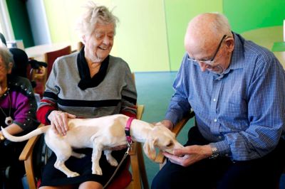 Hundehvalpe besøgte plejehjemmet Rolighedsparken i Ikast og gik på omgang blandt beboerne.
Foto: Flemming Hansen
