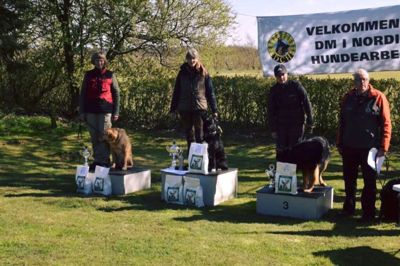 Anette Johansson og Tessie fra DCH Ikast har vundet danmarksmesterskabet i Nordisk Spor med en total på 605,5 point. Det er hermed anden gang et medlem fra Ikast DCH vinder den fornemme titel, idet Anettes samlever, Thomas Stjernaas, også vandt DM i Nordisk Spor i 2015, med hunden Schizo. Thomas og Schizo var også udtaget til DM i år, men måtte desværre udgå på grund af sygdom. ?Privatfoto