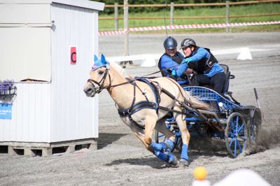 Dramatisk ser det ud i kørsel med hestevogn, hvor Karina Blaabjerg er ved tømmerne, mens Daniel Blaabjerg agerer groom - det engelske ord for staldkarl ?Privatfoto