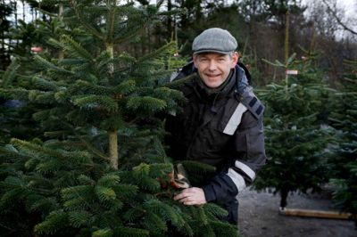Jan Østergaard fra Møllegaarden er klar med et gratsis juletræ til alle, der får julehjælp. ?Foto: Henrik Ole Jensen