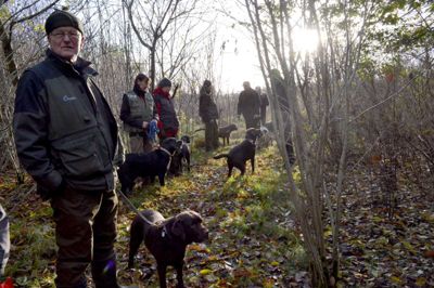 Hundefører og hunde fra hele Jylland var på skolebænken i og omkring DCHs klubhus i Bording ?foto: laila Kempel