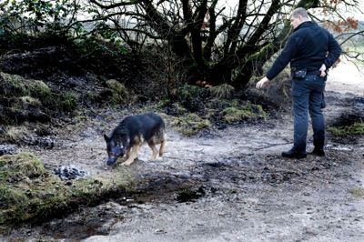 Politiet efterforsker med politihund ved Kærshovedgård. Foto: Henrik Ole Jensen