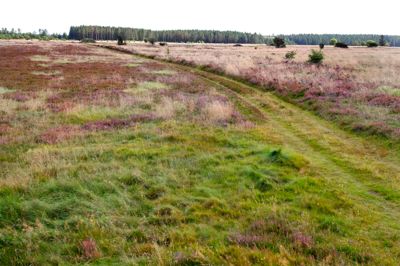 Naturcenter Harrild Hede er et hit lokalt, men stedet er åbenbart ikke kendt af mange udenfor kommunegrænsen.