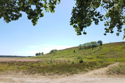 Isenbjerg Bakkeø i udkanten af Gludsted Plantage er blandt de mest anbefalede oplevelser i Danmark. Bakkeøen rejser sig brat 30 meter over den omgivende smeltevandsslette og skaber et fantastisk naturområde og en storslået udsigt over den skønne midtjyske natur. ?Foto: Thomas Vang Nielsen