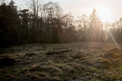 Still fra filmen Feministen med Gudrun Schyman i hovedrollen. ?Foto: PR