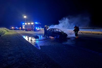 Det kunne være gået helt galt, da en 22-årig mand fra Aarhus i weekenden kørte ind i et krondyr på Herningmotorvejen i østgående retning. Manden slap uden skader, mens dyret døde.? Foto: Kim Munksgaard