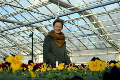 Sidsel Marie Nielsen, daglig leder på Gartneriet Garland, glæder sig til årets store åbningsdag, hvor drivhusene som noget ganske nyt indeholder spiselige blomster. ?FOTO: Laila kempel