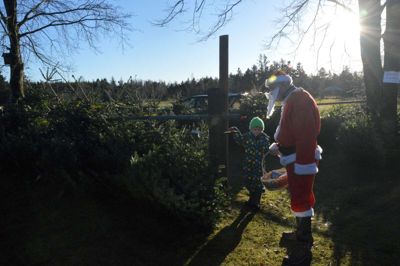 Juletræer og julemand hører til julemarkedet på Ruskjærholm. Foto: Steen Hebsgaard