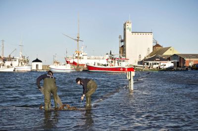 Vandet er nået et godt stykke over kajkanten og har oversvømmet flere gader ved havnen i Assens onsdag. Foto: Kim Rune/Ritzau Scanpix