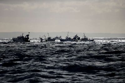 Pascal Rossignol/Reuters. Et hårdt brexit kan betyde, at fiskere fra EU-lande udelukkes fra britisk farvand. Det får store konsekvenser for danske fiskere, og EU-Kommissionen har fremlagt forslag til kompensation og en midlertidig aftale med briterne.