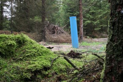 Toppen af isbjerget i Gludsted Plantage.