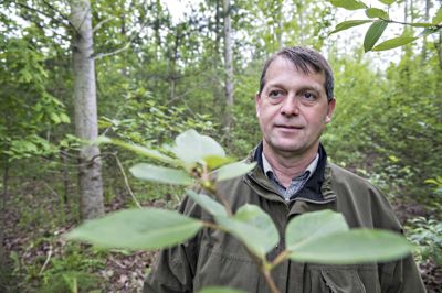 Borgmester Ib Lauritsen ser den kommende Bestseller-bydel og højhus i Brande som et aktiv for hele Midtjylland. (Arkivfoto). Claus Fisker/Ritzau Scanpix