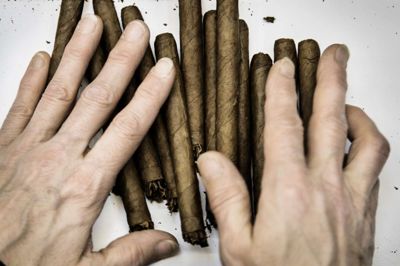 Thomas Lekfeldt/Ritzau Scanpix. Scandinavian Tobacco Group sælger stadig flere håndrullede cigarer som disse, der er fotograferet på kompagniets fabrik i Nykøbing Falster i 2016.
