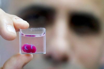 Jack Guez/Ritzau Scanpix. Forskere på universitetet i Tel Aviv siger, at de har skabt det første hjerte på en 3D-printer. Det lille hjerte er så stort som et kirsebær og ligner i størrelsen et kaninhjerte.