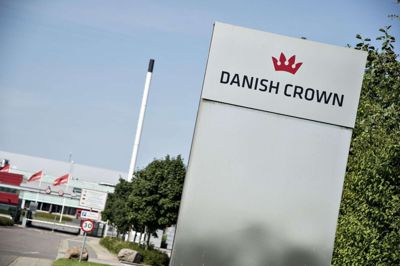 Skærtorsdag arbejde folkene her på slagteriet i Horsens for at kunne opfylde kinesernes efterspørgsel efter svinekød. Foto: Henning Bagger/Ritzau Scanpix