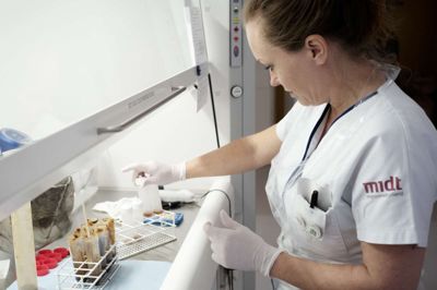 Bo Amstrup/Ritzau Scanpix. Bioanalytiker Pia Andreasen er i gang med at fortynde og behandle en frisk portion afføring fra en donor, som senere skal bruges til at redde en syg tarmpatient. Patienten er typisk rask på få timer.