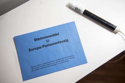 Mads Claus Rasmussen/Ritzau Scanpix. I dele af Jylland var der flest vælgere, der stemte blankt ved seneste Europa-Parlamentsvalg i 2014.