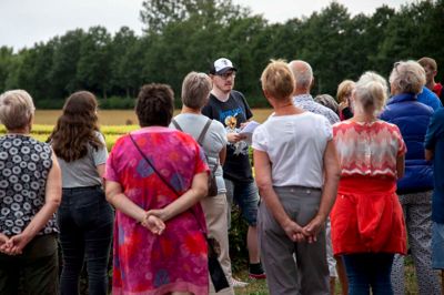 Torsdag er der byvandring i Ikast. Foto: PR-foto