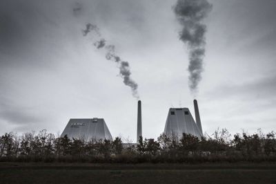 Afbrænding af træ og anden biomasse tæller i Danmark regneteknisk som CO2-neutralt, men ifølge en række forskere fra udlandet bedrager Danmark sig selv ved ikke at tælle CO2-udledningen fra afbrænding af træ med i sit klimaregnskab. (Arkivfoto)