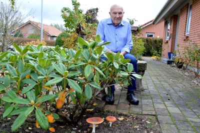 Torsdag fylder Anders Østergaard Rasmussen, Engesvang, 90 år. Foto: Laila Kempel