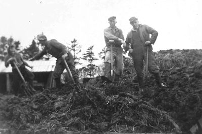 Livet på landet var ikke kun rosenrødt. Der skulle også pukles, som her, hvor der spredes møg. Foto: Privat