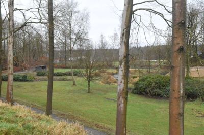 Lystanlægget i Ejstrupholm fylder snart 100 år og i den forbindelse indgår en genopretning af Ejstrup Bæk som en del af den planlagte forskønnelse. Bækken kan anes bag træerne. Foto: Flemming Thulstrup