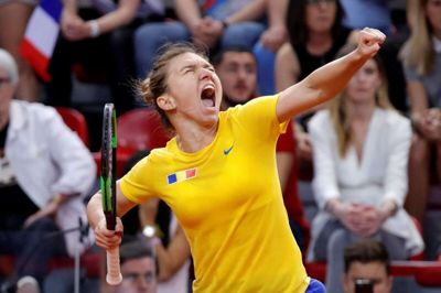 Fed Cup fremkalder store følelser. Her jubler rumæneren Simona Halep under sidste års semifinale mod Frankrig. Rumænerne endte dog med at tabe kampen.