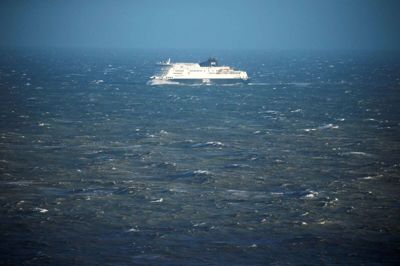 Færgerederiet DFDS har lukket ruten mellem København og Oslo og omvendt. (Arkivfoto)