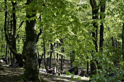 EU-Kommissionen lægger op til, at omfanget af naturarealer i EU skal øges markant. 10 procent skal være strengt beskyttet natur. Danmark ligger nu på omkring 1 procent.