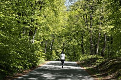 Biodiversiteten falder i EU, og de mange penge, der afsættes til at redde den via EU's landbrugsstøtte, har ikke haft effekt, siger rapport.