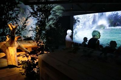 En mørk skov med nåle- og løvtræer fra Skelhøje Plantage danner rammen om norske Stine Kvams video- og lydinstallations-udstilling om natur, vildt, jægere - og vores måde at opfatte det hele på. Foto: Henrik Ole Jensen