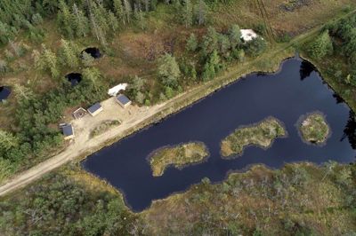 En efterskole var på friluftstur til denne shelterplads i Gludsted Plantage, da fire drenge fik den mindre gennemtænkte idé at sætte ild til en myretue. Heldigvis forhindrede en hurtig indsats fra brandmændene, at ilden bredte sig til resten af Danmarks største skovområde. Foto: Tom Laursen